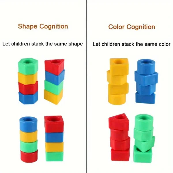 Bear Shape Matching Toys